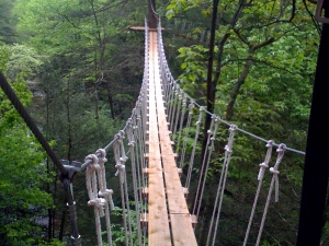 You'll cross five of these bridges along with flying through 10 ziplines during your Tree Tops canopy tour
